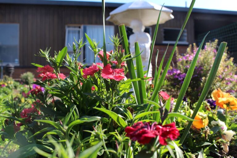 Courtyard garden